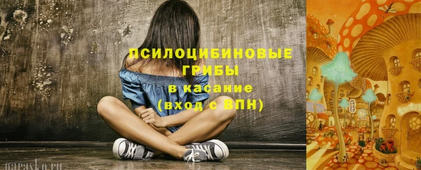 ГАЛЛЮЦИНОГЕННЫЕ ГРИБЫ Карпинск