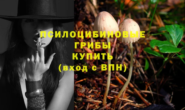 jwh Карталы