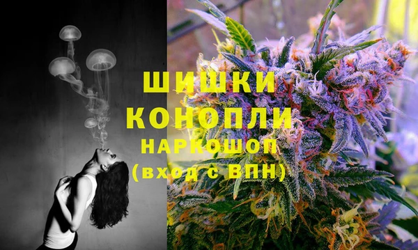 ГАЛЛЮЦИНОГЕННЫЕ ГРИБЫ Карпинск