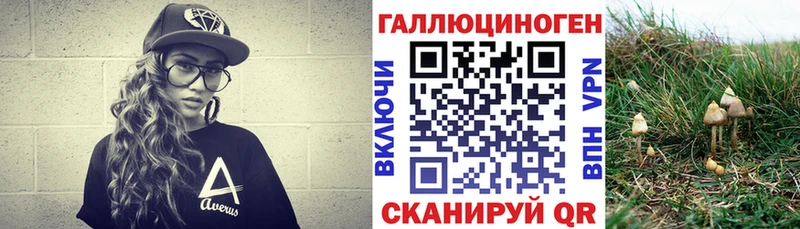 Купить закладки  Вилюйск  Псилоцибиновые грибы Psilocybine cubensis 