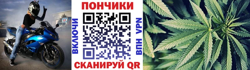 Купить где  Вилюйск  Бошки Шишки MAZAR 